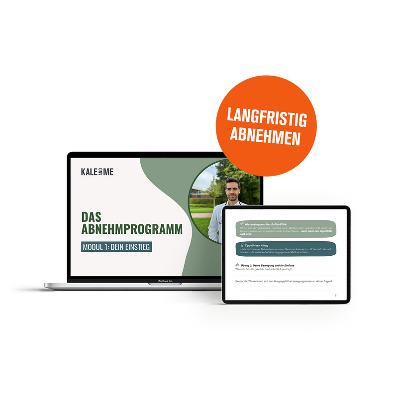 Laptop und Workbook Abnehmprogramm