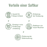 Vorteile einer Saftkur
