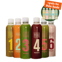 Frucht und Gemüse Säfte und Infused Water Bundle