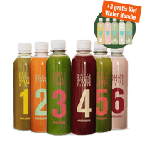 Frucht und Gemüse Säfte und Infused Water Bundle
